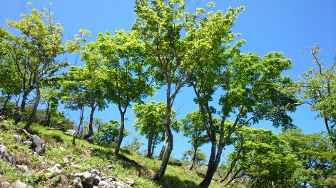 b0148050_184198.jpg