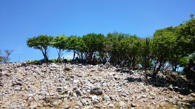 b0148050_1842080.jpg
