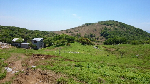 b0148050_1846252.jpg