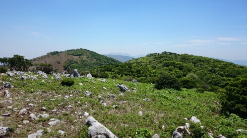 b0148050_18464227.jpg