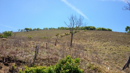 b0148050_18484970.jpg