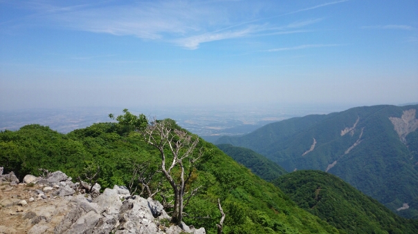 b0148050_18512257.jpg