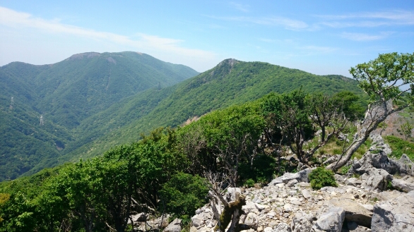 b0148050_1851577.jpg
