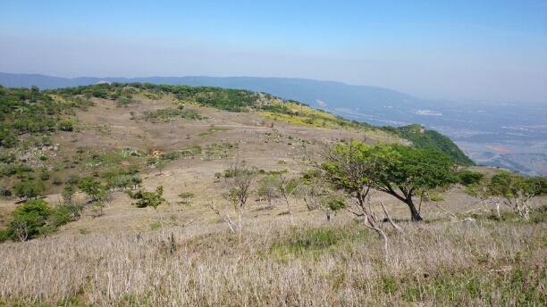 b0148050_18515930.jpg