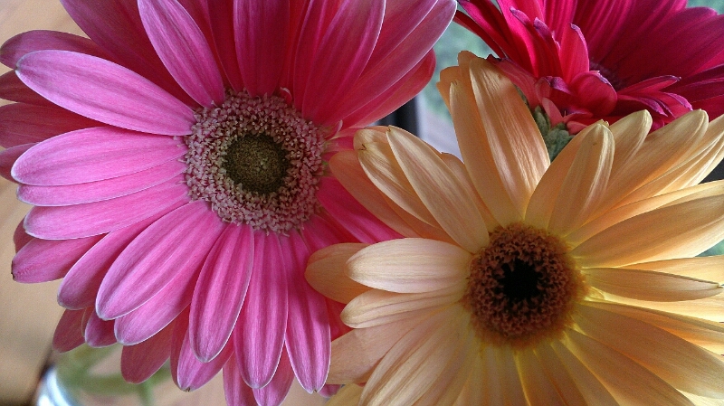 f0341250_16574526.jpg