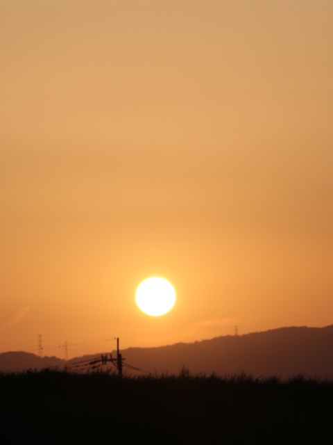e0017051_6361313.jpg