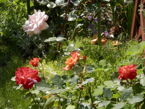 e0288951_16271217.jpg