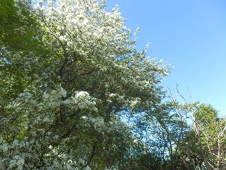 e0004756_21522633.jpg