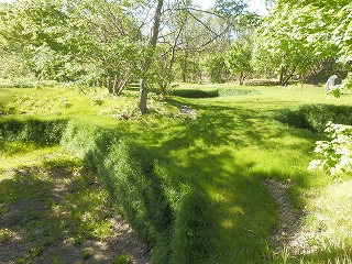 e0004756_22105311.jpg