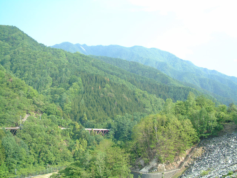 e0033459_1721726.jpg