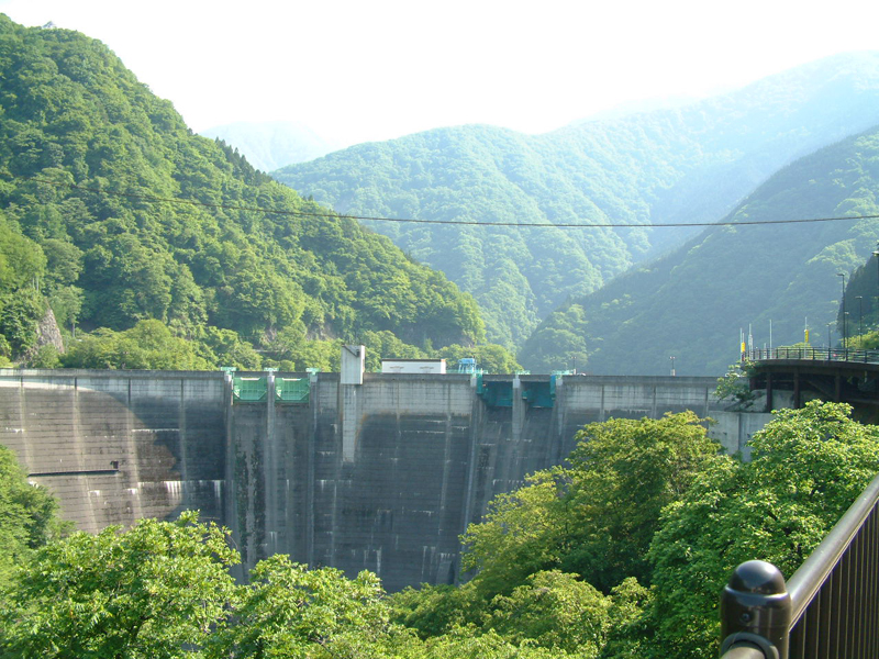 e0033459_1731948.jpg