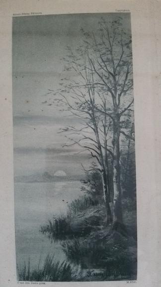 c0172261_6105359.jpg