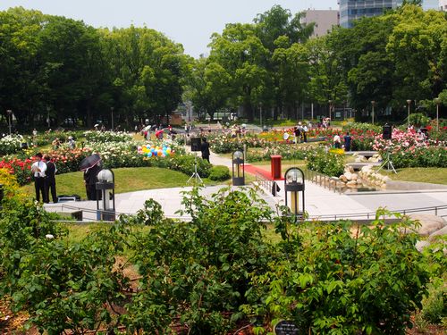 e0129862_1603335.jpg
