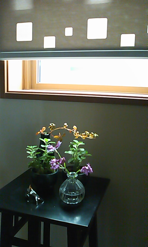 b0242064_17212979.jpg