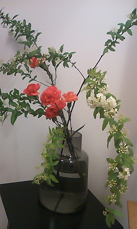 b0242064_17305378.jpg
