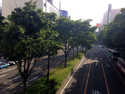 c0050264_1226395.jpg