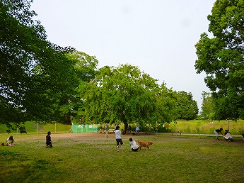 e0002466_1831259.jpg