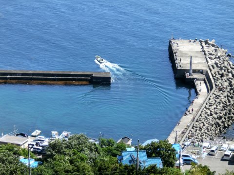 e0045768_2029418.jpg