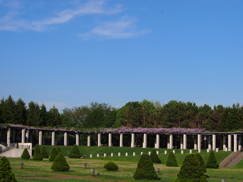 b0204977_17521859.jpg