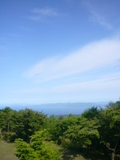 f0127879_106199.jpg