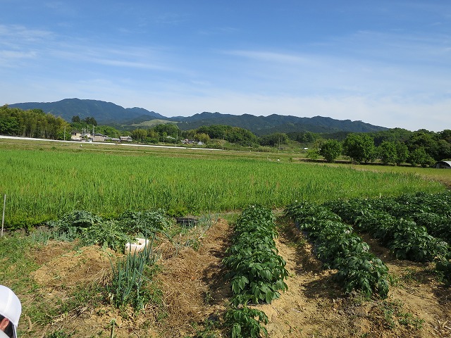 b0326483_23494263.jpg