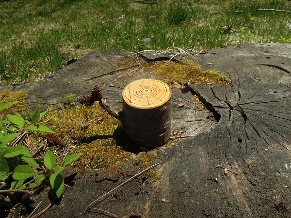 f0045283_19522081.jpg