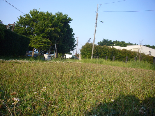 a0141884_19513336.jpg