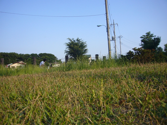 a0141884_1951482.jpg