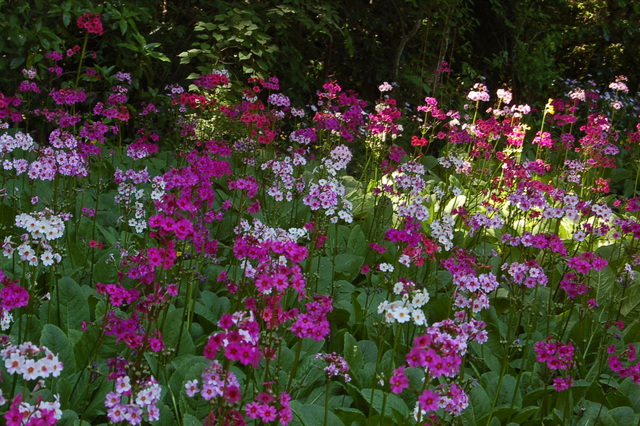 b0203588_15455216.jpg