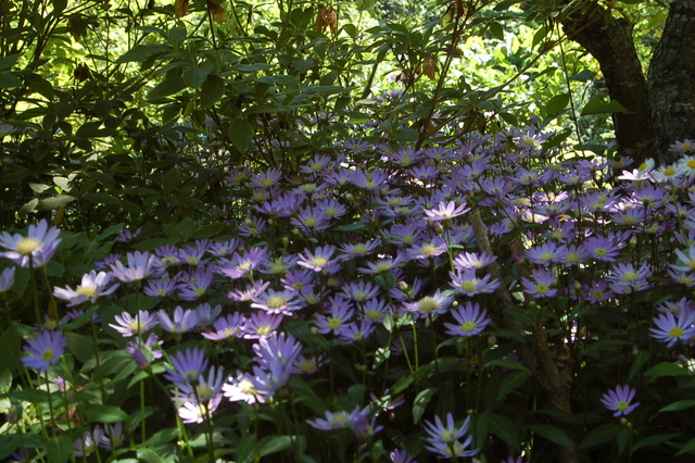 b0203588_15461559.jpg