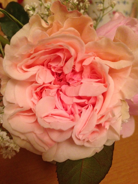 a0279990_22103837.jpg