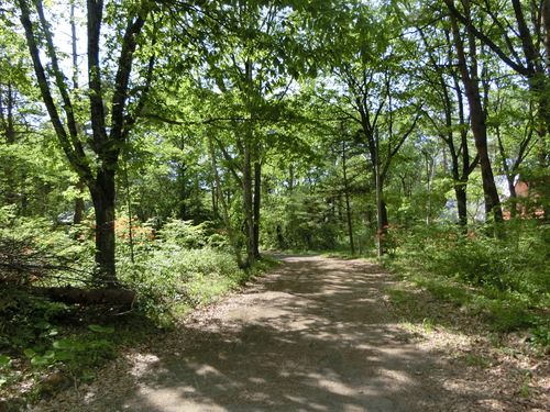 a0319693_2244017.jpg