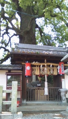 b0205694_20102138.jpg