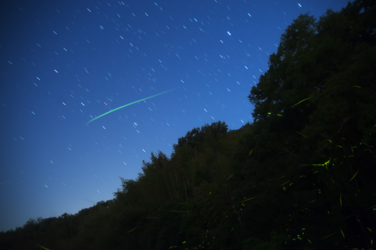 d0146295_8395480.jpg