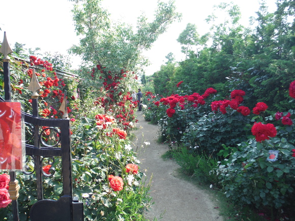 a0207996_2335688.jpg