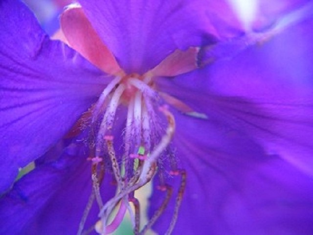 f0346196_06572400.jpg