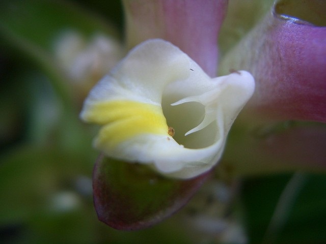 f0346196_06583577.jpg