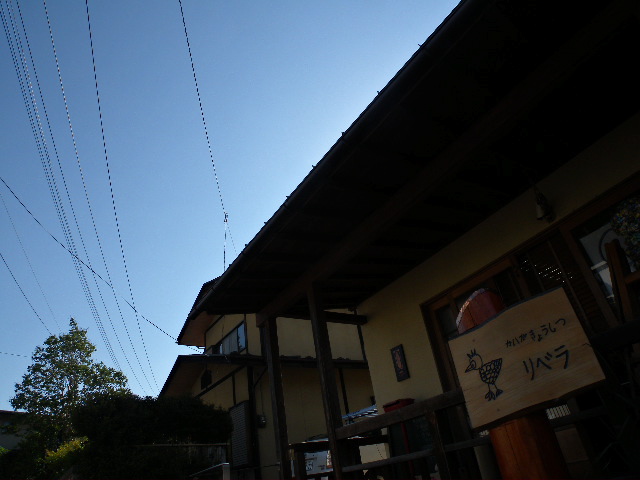 a0199297_15564952.jpg