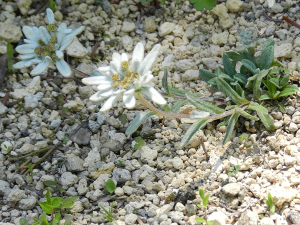 e0033301_22124169.jpg