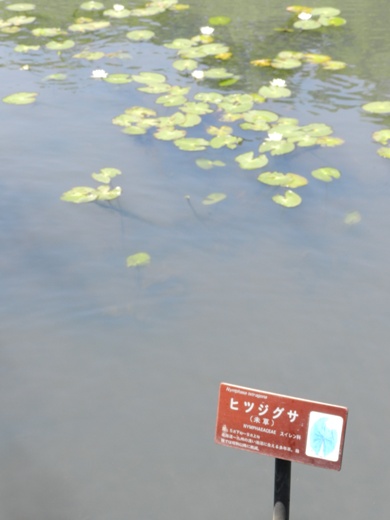 e0033301_22132969.jpg