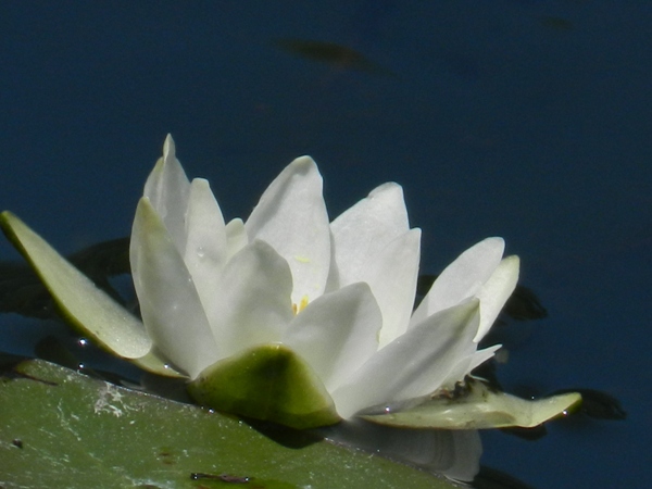 e0033301_22135920.jpg