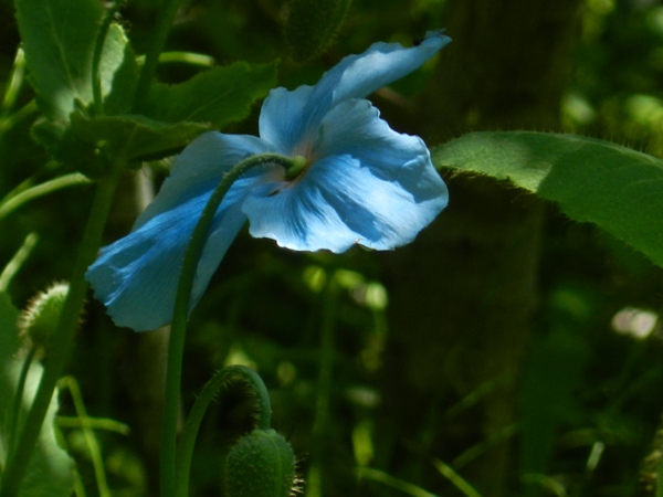 e0033301_2213935.jpg
