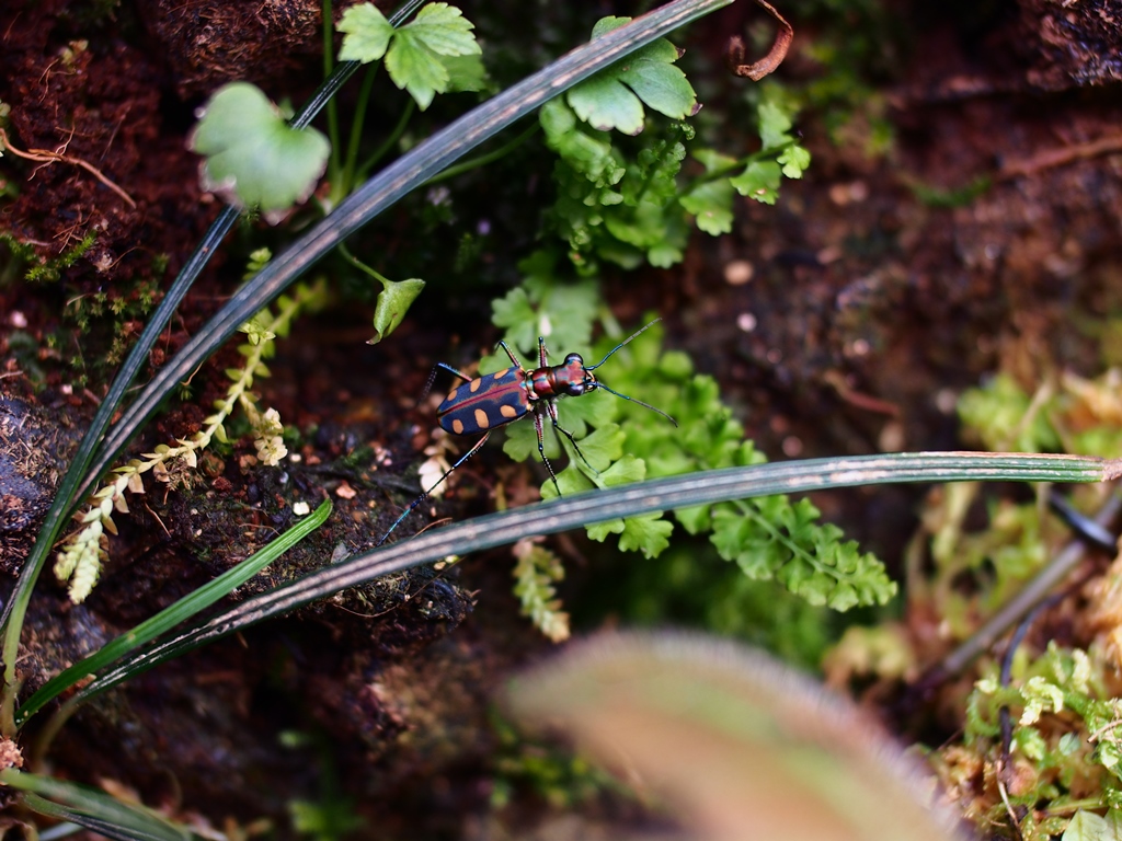 c0156313_212019.jpg