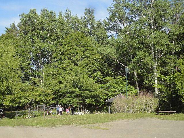 f0328313_13420079.jpg