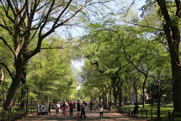 c0328616_01061282.jpg