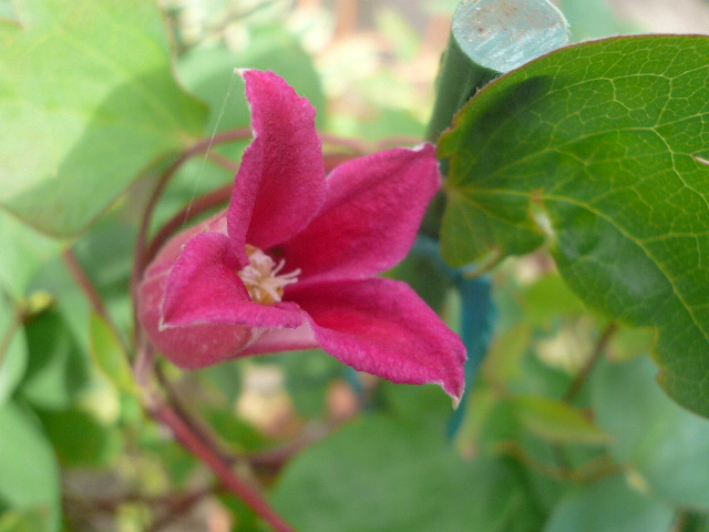 e0026017_14402026.jpg