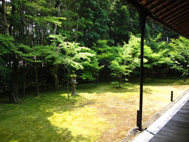 f0319323_2325793.jpg