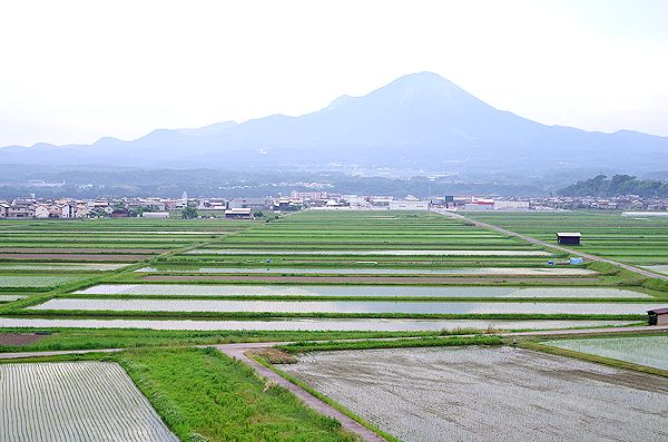 f0007926_11474255.jpg