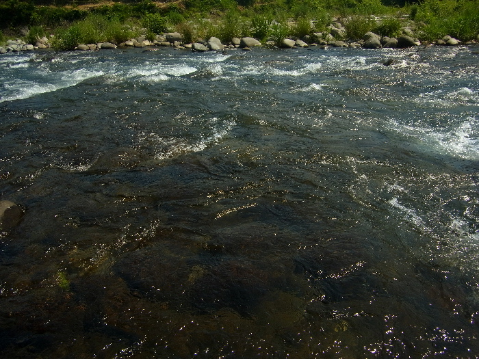 f0103126_20572495.jpg