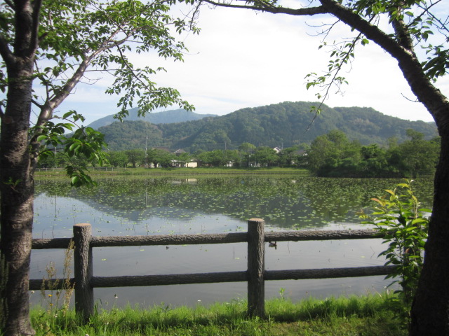 c0114929_12565092.jpg